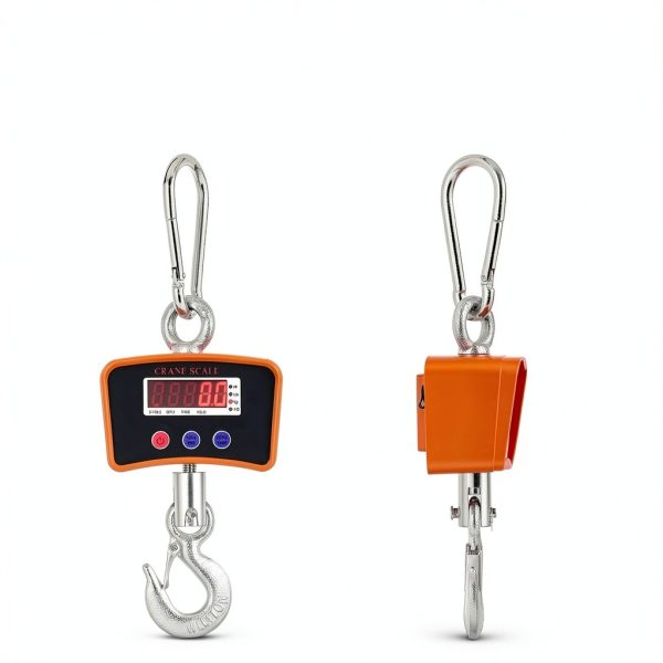 Crane Scale Bonvoisin 2200lb Hanging Scale with Rechargeable Battery-6