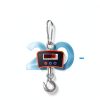 Crane Scale Bonvoisin 2200lb Hanging Scale with Rechargeable Battery-2