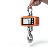 Digital Crane Scale 1000kg ccweigh Aluminium Housing, Steel Handle-4