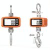 Digital Crane Scale 1000kg ccweigh Aluminium Housing, Steel Handle-5