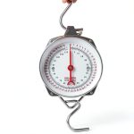 Hanging Scale WISHSOM Mechanical Crane Scale Dual Unit Stainless Hooks-0